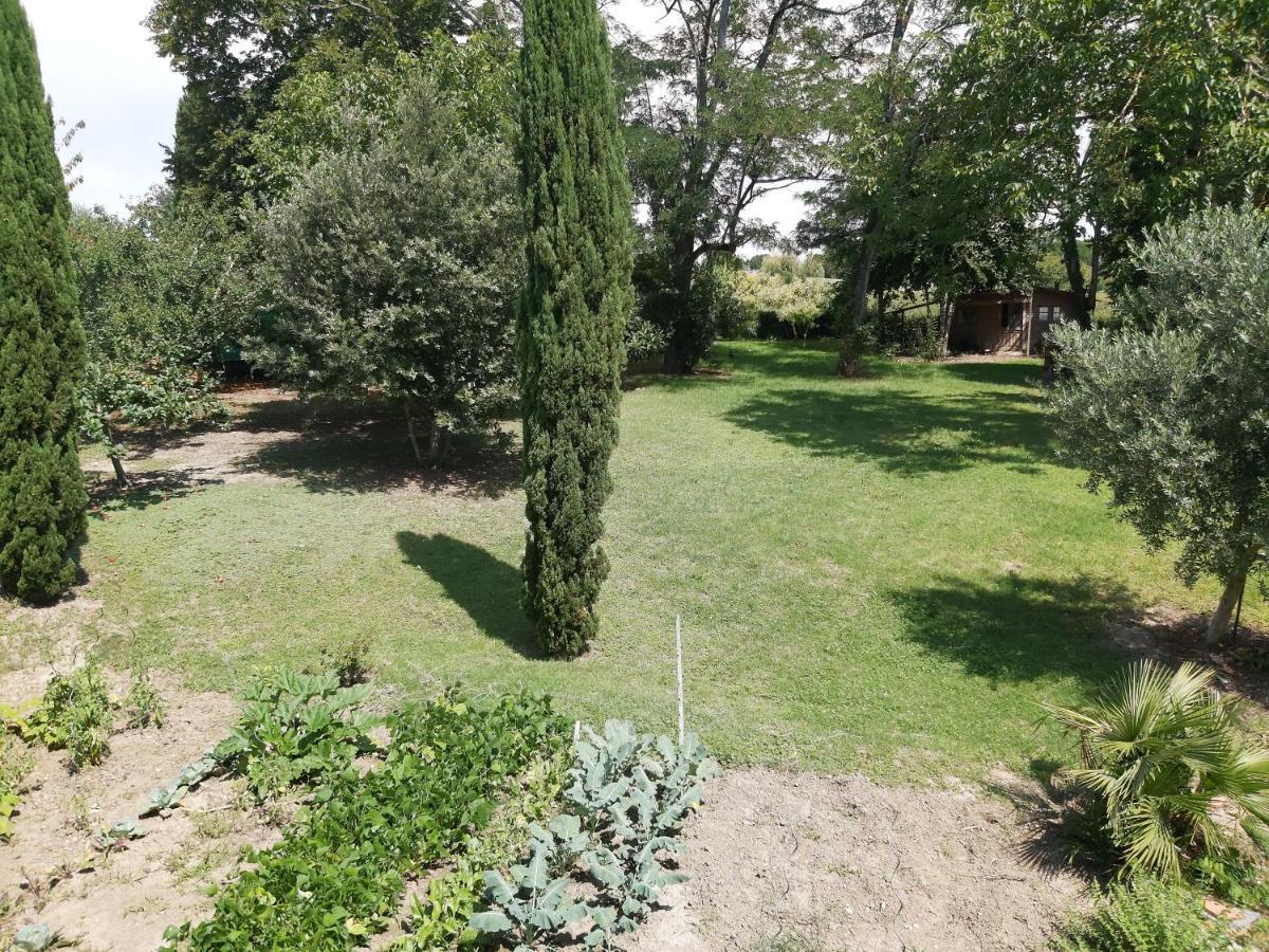 O Nature Cheris Mes Voeux Avant Qu'Ils S'Enfuient Francescas Buitenkant foto