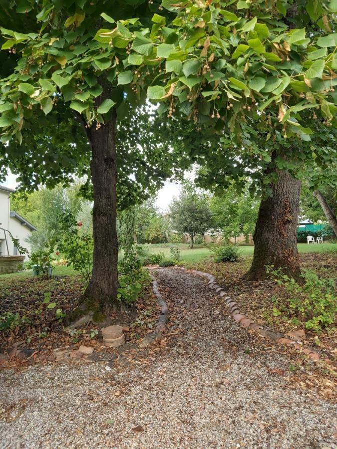 O Nature Cheris Mes Voeux Avant Qu'Ils S'Enfuient Francescas Buitenkant foto